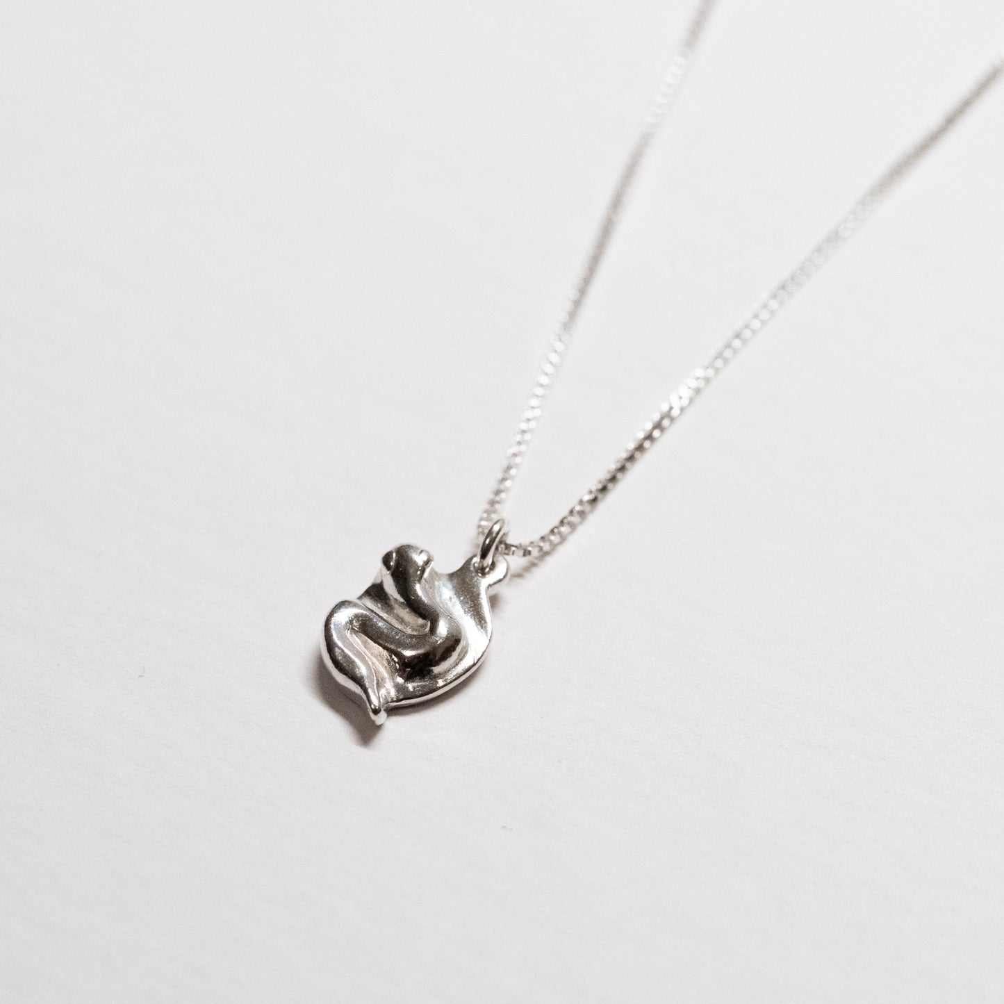 Snake Charm Necklace